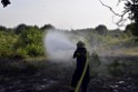 Waldbrand Koeln Hoehenhaus Hoehenfelder Mauspfad P072